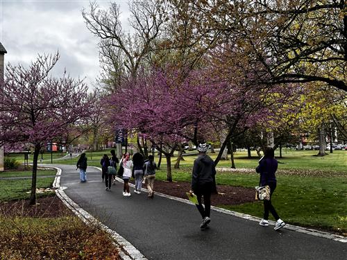 People walking down a tree lined paved walking path.